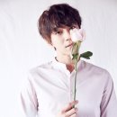 오디너리 컨셉트