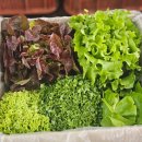 정진농장 이미지