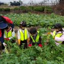 송죽농장 이미지