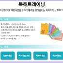 더트레이닝 이미지