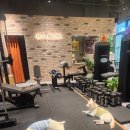 POWER GYM | 구래동 1인 PT샵 후기 파워짐(Power Gym)에서 제대로 운동 시작했어요!