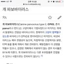 금호동물약국 이미지