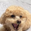 해피몽스데이 이미지