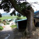 서천남산성 이미지