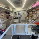 나라라펫 이미지