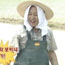 치앙마이 코끼리 생츄어리투어 일정 준비물 &amp; 힐링과 더위 솔직 후기