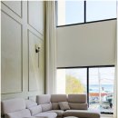 오션나비드풀빌라 이미지