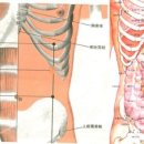 비경한의원 이미지