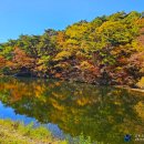 팔공산농산 | {대구시 동구} 대한불교조계종 팔공산 파계사의 가을