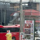 남이섬 닭갈비 / 강산골숯불닭갈비 내돈내산 후기 (여긴 가지 마세요..)