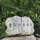 ＜제993차＞ 2026년 8월 4주(8/23, 소리산 여름이벤트) 산행안내 이미지