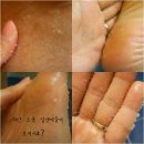 탈라소 이미지