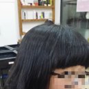 댕기미용실 이미지