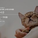 유어캣 고양이병원 이미지