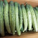 칠전농장 이미지