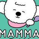 맘마수제간식 이미지