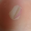 올백플러스학원 | 쫌쫌따리 블로그 11