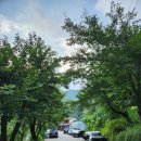 내원계곡라온펜션 이미지