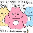 2월에는 계속 생각만 많이 했어요 생각만 생극만 망생이는 성은이 망극하옵니다