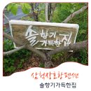 솔향기가득한집 - 평창군 경강로 537-18 | 솔향기가득한집