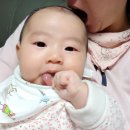 학동우리들약국 이미지