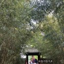 제일세탁마을 이미지