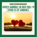 큰사랑 이미지