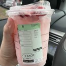 알파여행도서관 이미지