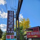 경기도 단체 펜션 가평 오토캠핑장 상면 사계절 온수수영장 캠핑장 방갈로 삼화힐링타운
