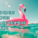 백령도.연평도여객선 운항및 날씨정보 이미지