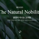 누리디앤씨 이미지