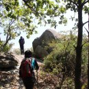 합천황토펜션숲 이미지