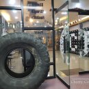 크로스핏 핏불 이미지