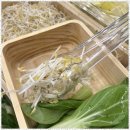 트레이더스옆 이미지