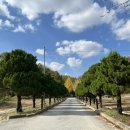 스테이그린 이미지