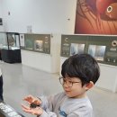 평생학습관(별관) 강당 | 아이랑 갈만한 곳 YDP 곤충체험학습관