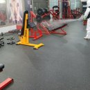 24시특수방역 네이버블로그