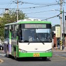 벌교세무서앞 이미지