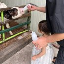 후사랑밀크(환희목장) 이미지