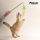 고양이 - 태백시 황지로 137 | 고양이