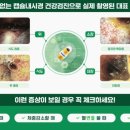 하남숲동물병원
