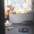 멍데이 살롱 이미지