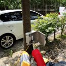 내리계곡 솔밭캠핑장 이미지