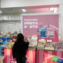 이동레포츠공원 족구장 | 광안리 요트투어 추천 광안리해양레포츠센터 출발 벚꽃요트