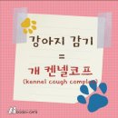 월드켄넬 이미지