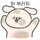 커들리독 이미지