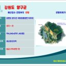 산촌개발민박 이미지