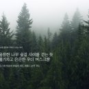 센스아로마향기