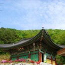 광은사 - 1195 | 광은사