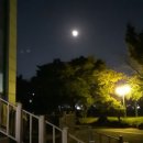달아달아밝은달아 - 순천시 | 달아달아밝은달아